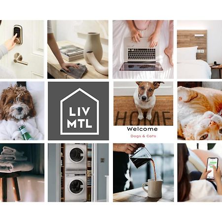 Liv Mtl Soho Aparthotel Montreal Bagian luar foto